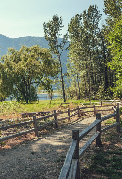 Shuswap Campgrounds