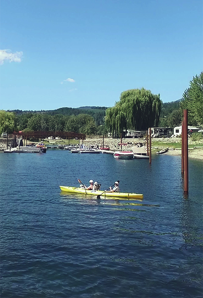 Shuswap Campgrounds